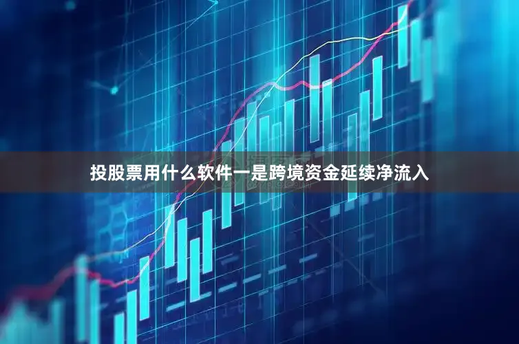 投股票用什么软件一是跨境资金延续净流入
