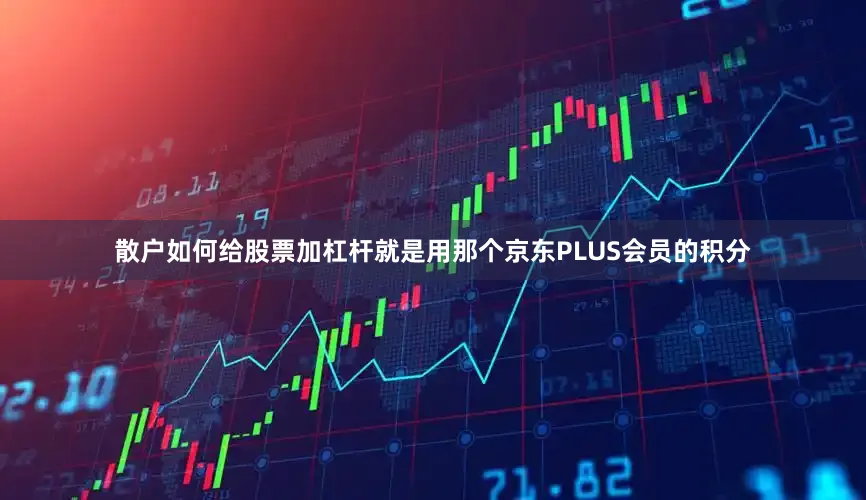散户如何给股票加杠杆就是用那个京东PLUS会员的积分