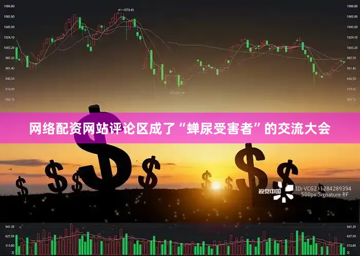 网络配资网站评论区成了“蝉尿受害者”的交流大会